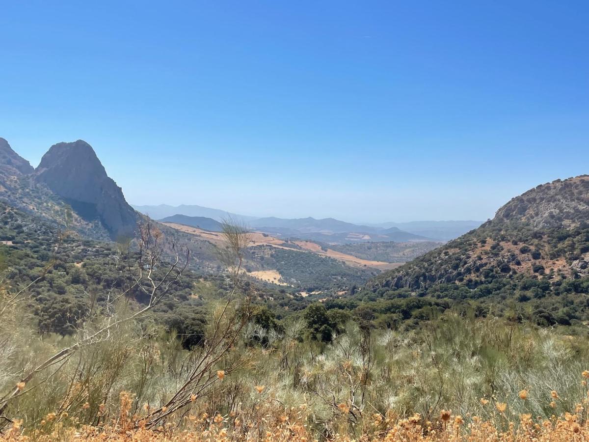 Cortijo Rancho Verde Colmenar Dış mekan fotoğraf
