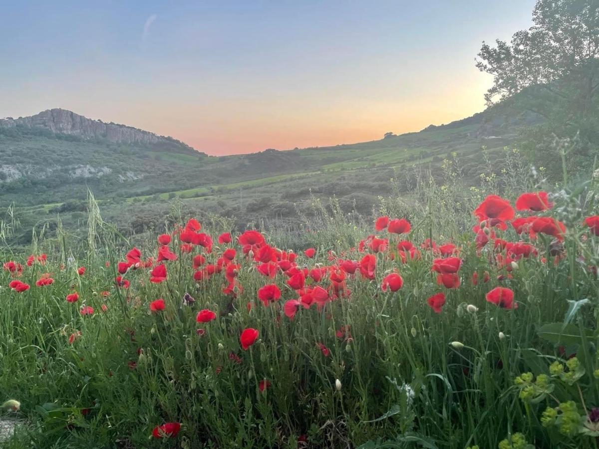 Cortijo Rancho Verde Colmenar Dış mekan fotoğraf