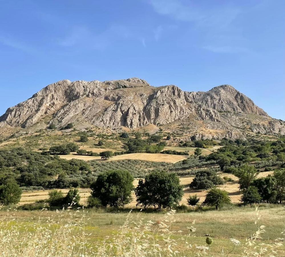 Cortijo Rancho Verde Colmenar Dış mekan fotoğraf