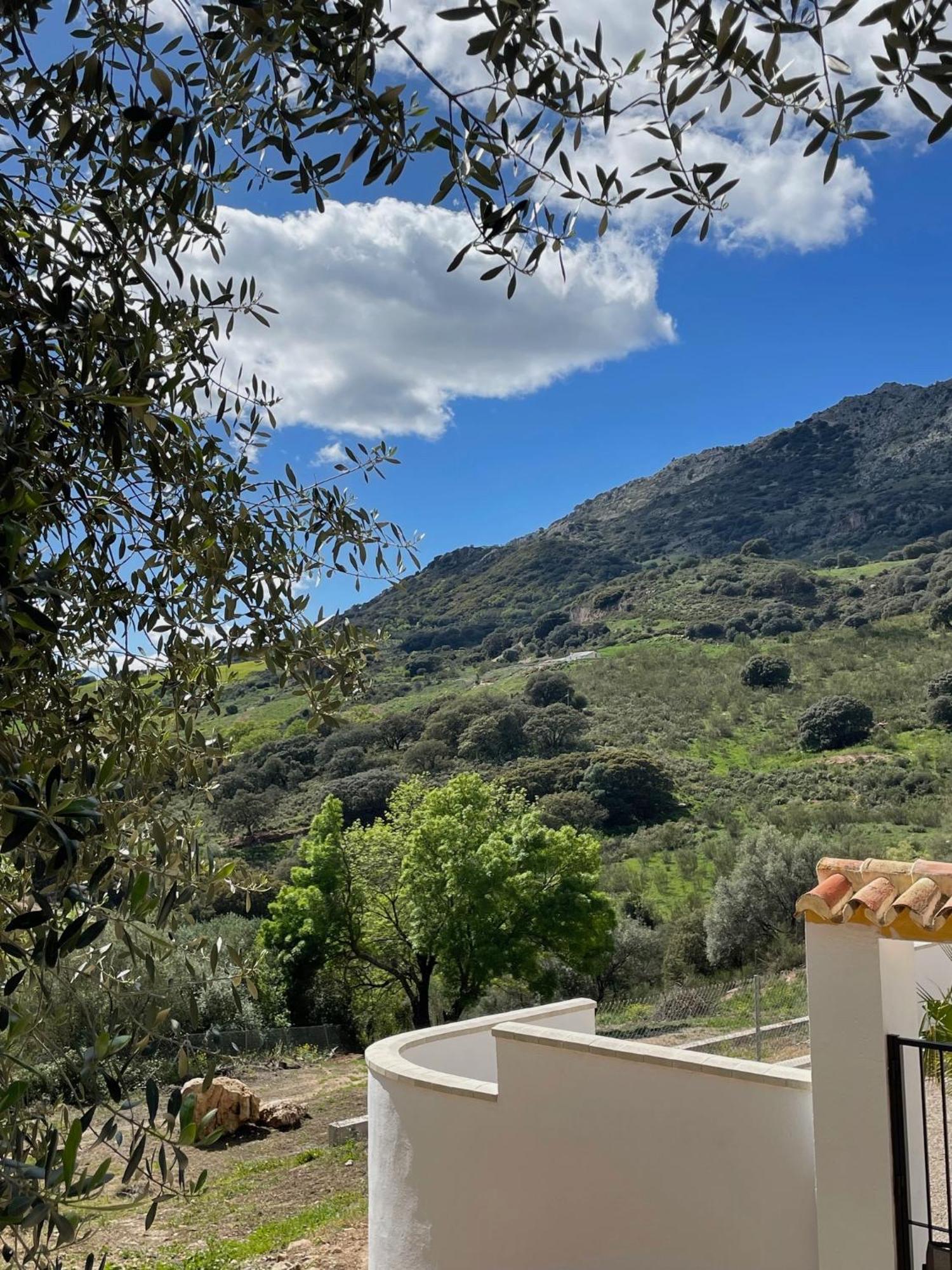 Cortijo Rancho Verde Colmenar Dış mekan fotoğraf