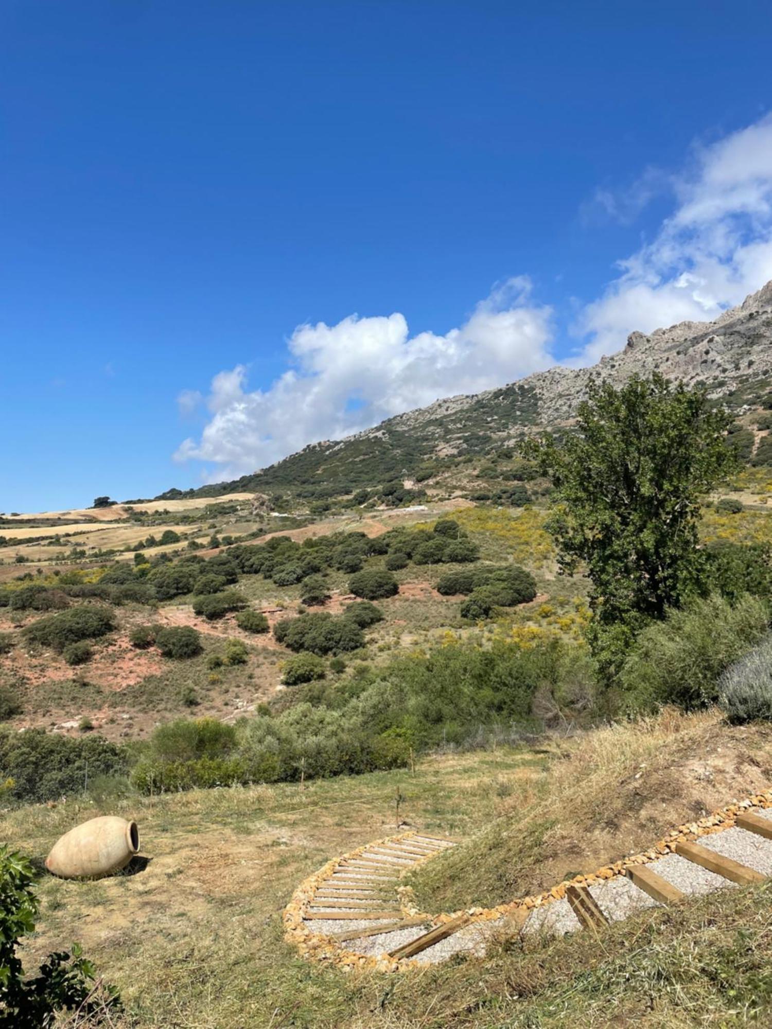 Cortijo Rancho Verde Colmenar Dış mekan fotoğraf