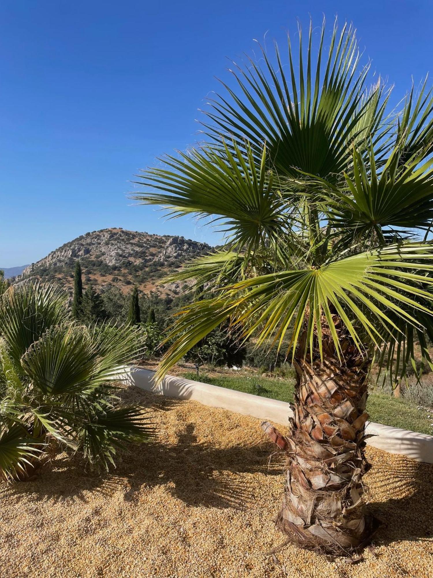 Cortijo Rancho Verde Colmenar Dış mekan fotoğraf